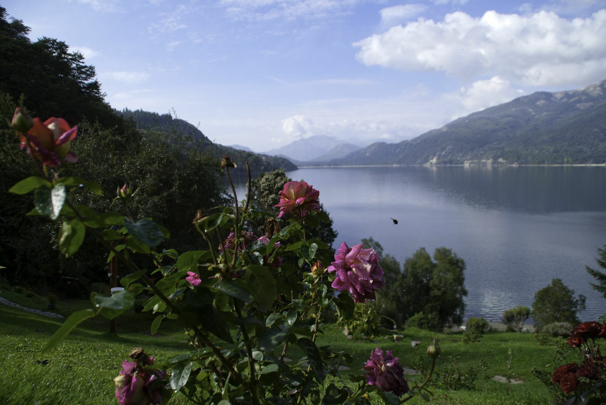 Cabanas Villa Panil San Carlos de Bariloche Kültér fotó