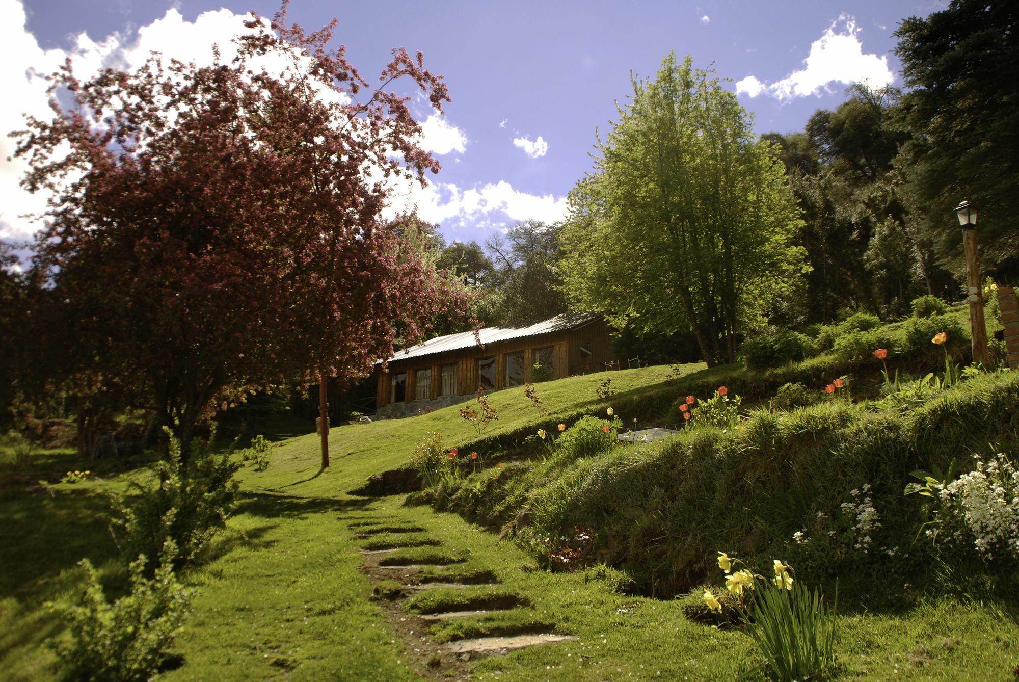 Cabanas Villa Panil San Carlos de Bariloche Kültér fotó