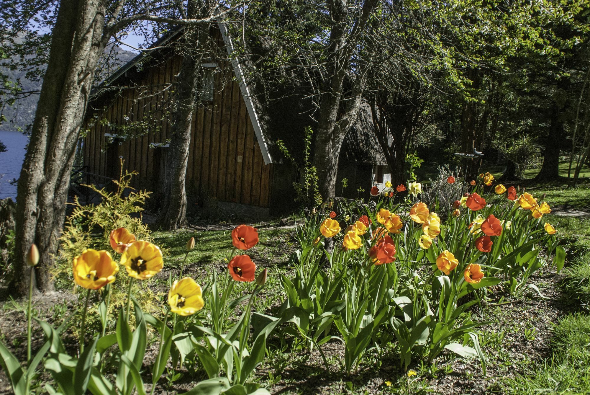 Cabanas Villa Panil San Carlos de Bariloche Kültér fotó
